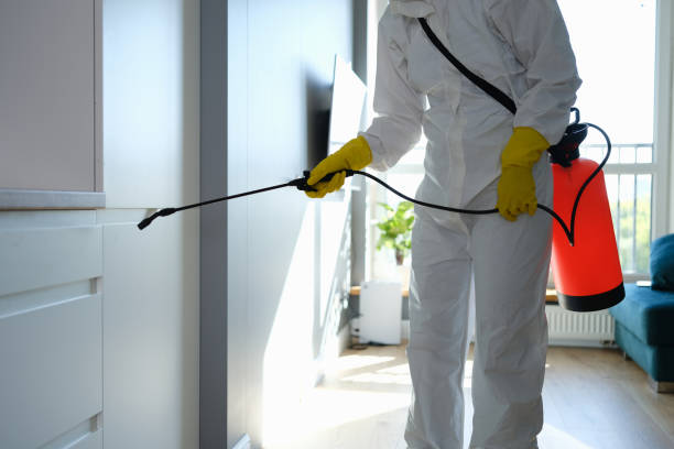 Best Mold Prevention Services  in Pittsburg, TX